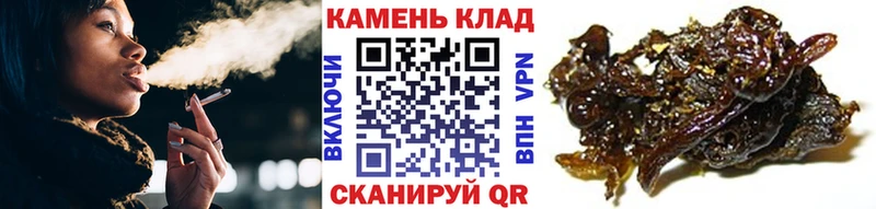 ГАШ Изолятор Новое Девяткино