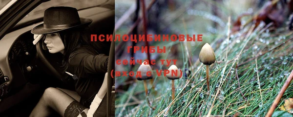 герыч Лиски